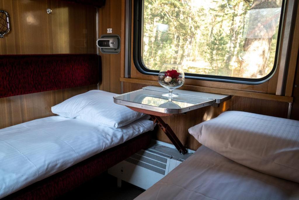 Palanga Camping Compensa Hostel Luaran gambar